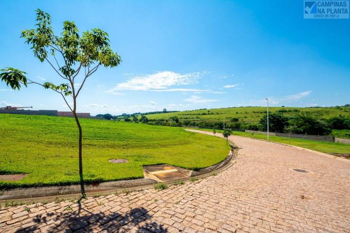 Parque Dos Alecrins 2 Foto