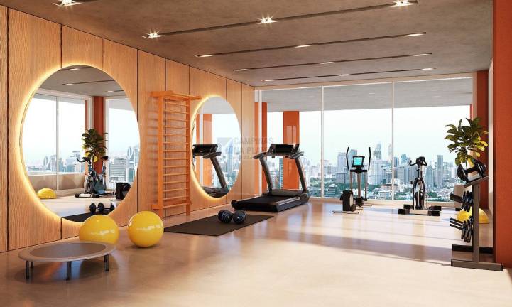 mm 536 cambui academia