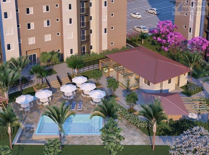 Alto do Ibirapuera Vôo Pássaro Lazer